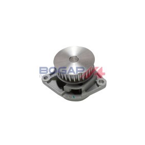 Achetez des Pompe à eau BOGAP A4234125 à prix pour 33,63 €