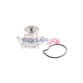 Wasserpumpe von BOGAP C4234119