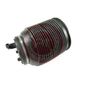 Comprar Muelle neumático, suspensión de at autoteile germany at10867 a bajo precio de 315,38 €