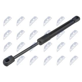 Heckklappendämpfer AE-PL-063