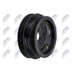 Achetez des Poulie damper (vilebrequin) NTY RKP-FT-007 à prix pour 75,02 €