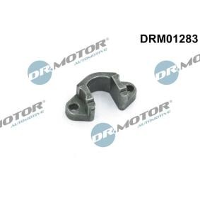 Halter, Einspritzventil DRM01283