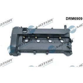 Achetez des Cache-culbuteur de chez DR.MOTOR AUTOMOTIVE en ligne pour Focus Mk2 Cabriolet (DB3) à prix modérés