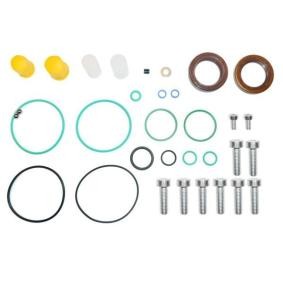 Reparatursatz, Kraftstoffpumpe ENT210035