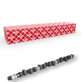 Compre Árvore de cames de FEBI BILSTEIN online para LT 40-55 I Camião de plataforma / Chassis (293-909) a preços moderados