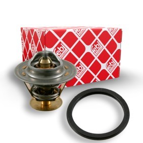 Kühlwasserthermostat 11493