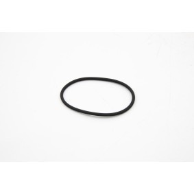 Achetez des Joint d'étanchéité, thermostat IVECO 17284181 à prix pour 32,32 €