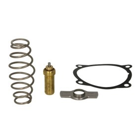Kühlwasserthermostat 504071087