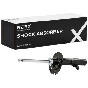 Stoßdämpfer von RIDEX