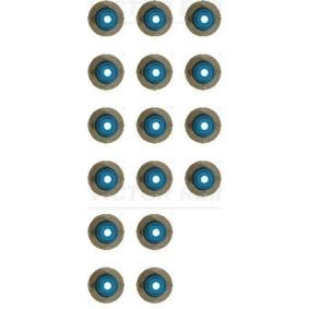 Comprar Juego de juntas, vástago de válvula de REINZ 12-18427-02 a bajo precio de 39,89 €