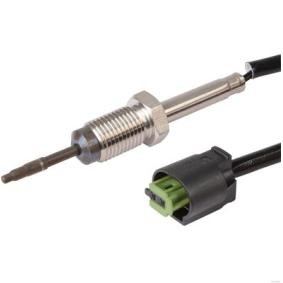 Abgastemperatursensor für BMW von HERTH+BUSS ELPARTS