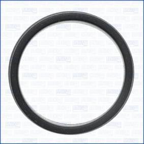 Dichtring, Einspritzventil 01378000