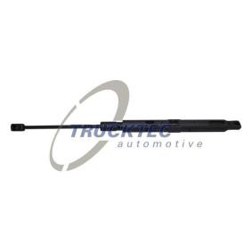 Compre Amortecedor de capô de TRUCKTEC AUTOMOTIVE online para Classe C Cabrio (A205) a preços moderados