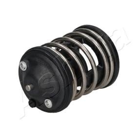 Achetez des Thermostat d'eau ASHIKA 38-00-0110 à prix pour 24,12 €