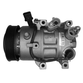 Klimakompressor 10-6125
