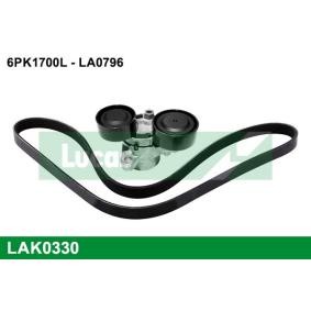Keilrippenriemensatz LAK0330 für BMW