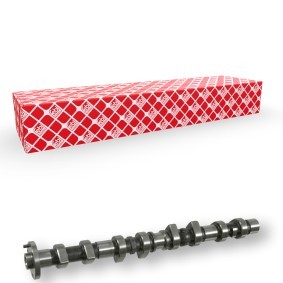 Nockenwelle 21670