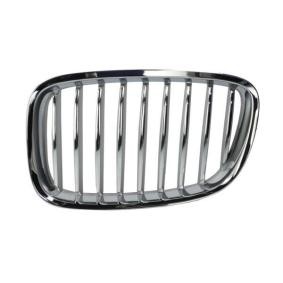 Kühlergrill 6502-07-0067991GP