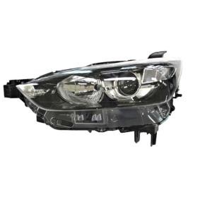 Scheinwerfer 11024001 von IPARLUX günstig für 171,74 € online kaufen