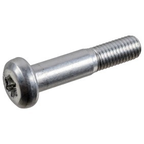 Schraube, Querlenker 24391