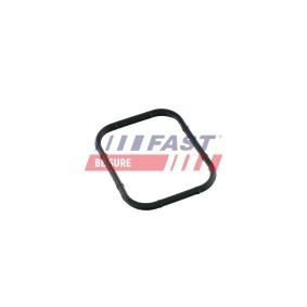 MAZDA Ansaugkrümmerdichtung von FAST