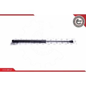 Achetez des Vérin de coffre ESEN SKV 52SKV720 à prix pour 14,90 €