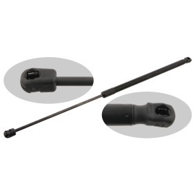 Heckklappendämpfer von FEBI BILSTEIN