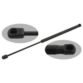 Köp Gasfjäder till baklucka av FEBI BILSTEIN 27909 till det låga priset 326,30 kr