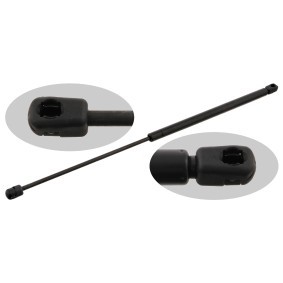 Motorhaubendämpfer für CITROËN von FEBI BILSTEIN