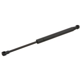 Køb Bagklapsdæmper af FEBI BILSTEIN 28089 til den lave pris 230,78 DKK