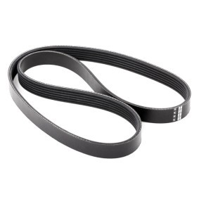 Achetez des Courroie Poly-V FEBI BILSTEIN 28920 à prix pour 9,97 €