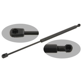 Köp Gasfjäder till baklucka av FEBI BILSTEIN 29294 till det låga priset 464,49 kr