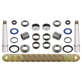 Comprar Juego de reparación, pivote del muñón del eje de FEBI BILSTEIN 29720 a bajo precio de 197,25 €