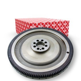 Schwungrad 29798