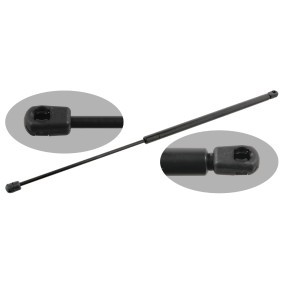Acquista Pistoncini portellone da FEBI BILSTEIN online per EXPRESS Pick-up a prezzi moderati