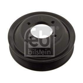 Riemenscheibe, Wasserpumpe 30125