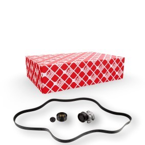Comprar Juego de correas trapeciales poli V de FEBI BILSTEIN 30418 a bajo precio de 328,27 €