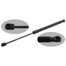 Köp Gasfjäder till baklucka av FEBI BILSTEIN 31648 till det låga priset 221,15 kr