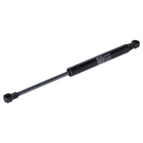 Köp Gasfjäder till baklucka av FEBI BILSTEIN 33343 till det låga priset 252,64 kr