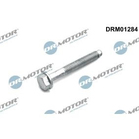 Achetez des Vis, support pour contrôleur d'injecteurs DR.MOTOR AUTOMOTIVE DRM01284 à prix pour 3,84 €