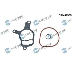 Achetez des Jeu de joints, pompe à vide DR.MOTOR AUTOMOTIVE DRM01309 à prix pour 19,78 €