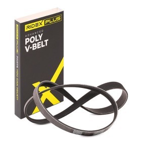 Osta Moniurahihna RIDEX PLUS:llä 305P0186P edullisesti hintaan 15,38 €