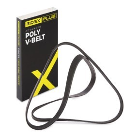 Keilrippenriemen für FORD USA von RIDEX PLUS