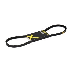 Acquista Cinghia trapezoidale da RIDEX PLUS 10C0049P a buon mercato per soli 6,96 €