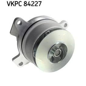 FORD Wasserpumpe von SKF