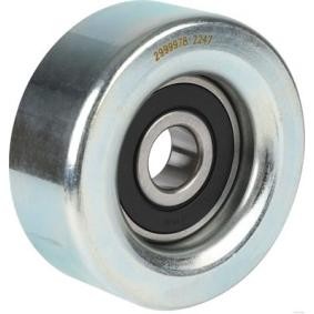 Umlenk- / Führungsrolle, Keilrippenriemen J1147030