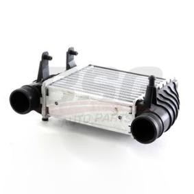 Köp Intercooler av BSG BSG 11-535-003 till det låga priset 1614,48 kr