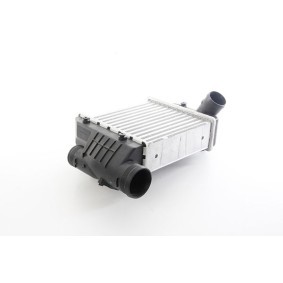 Köp Intercooler av BSG BSG 11-535-004 till det låga priset 1614,48 kr