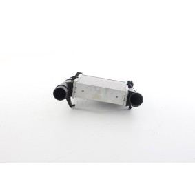 Köp Intercooler av BSG BSG 11-535-005 till det låga priset 1680,72 kr