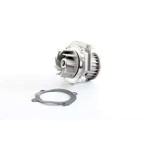 Køb Vandpumpe af BSG BSG 25-500-011 til den lave pris 452,45 DKK